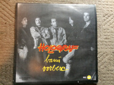 holograf banii vorbesc album disc vinyl lp muzica rock pop electrecord EDE 04060 foto