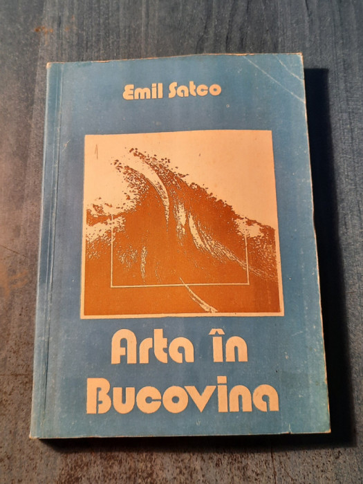 Arta in Bucovina Emil Satco