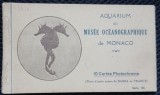 Album cu 10 fotografii de la Acvariul Muzeului de Oceanografie din Monaco