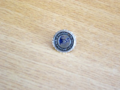QW9 N7 90 - insigna - tematica invatamant - academic - Turcia foto