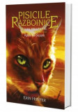 Pisicile Razboinice - Vol 12 - Apus de soare