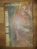 Lumina din adincuri- Alecu Ivan Ghilia