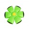 Foto  - 2