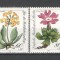 Berlin.1983 Bunastare-Flori de munte DF.274