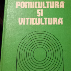 POMICULTURA SI VITICULTURA