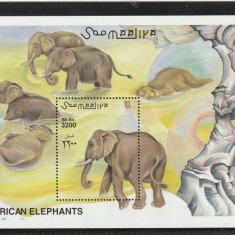 Somalia 2000-Fauna,Elefanti,colita dant.MNH,Mi.Bl.74