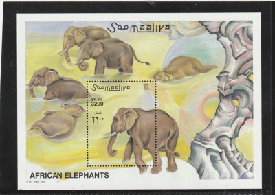 Somalia 2000-Fauna,Elefanti,colita dant.MNH,Mi.Bl.74 foto