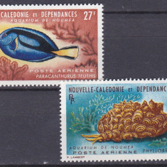 DB1 Fauna Marina Pesti Corali 1964 Noua Caledonie 2 v. PA MNH