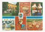 RF80-Carte Postala - Timisoara, Muzeul Banatului, necirculata