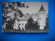 HOPCT 83642 PALATUL CULTURAL -CAREI IN 1959 JUD SATU MARE -RPR-CIRCULATA foto