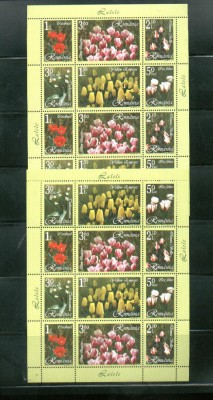 ROMANIA 2006 - LALELE, MINICOLI TIP I, MNH - LP 1716 foto