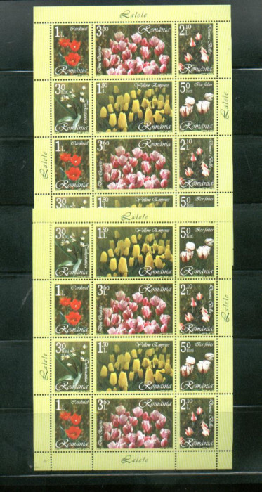 ROMANIA 2006 - LALELE, MINICOLI TIP I, MNH - LP 1716