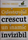 COLESTEROLUL CRESCUT UN INAMIC INVIZIBIL-BRUNO BRIGO-356380