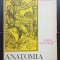 Anatomia umană. Idei, fapte, evoluție, Volumul I: Anatomia și anatomiștii din Antichitate și Evul Mediu - Mihai Ionescu