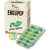 Engypep (Suport Digestiv) 30cps