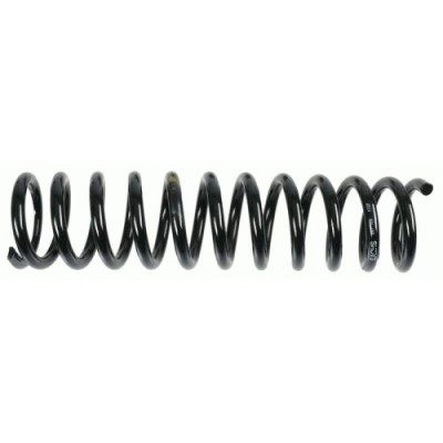 Sachs Arc spiral foto