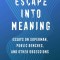 Escape Into Meaning: Essays on Superman, Public Benches, and Other Obsessions