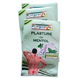 Plasture antireumatic cu mentol 12 cm x 18 cm Catena, 1 buc