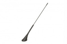 Antena AM/FM, Calearo cu montaj pe plafon 7677882