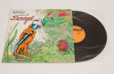 Mini &ndash; Dzsungel - disc vinil vinyl LP, Jazz