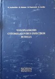 TOXOPLASMOSIS. CYTOMEGALOVIRUS INFECTION. RUBELLA-K. JANITSCHKE, K. REIMER, B. PUSTOWOIT, E. GERIKE-247374