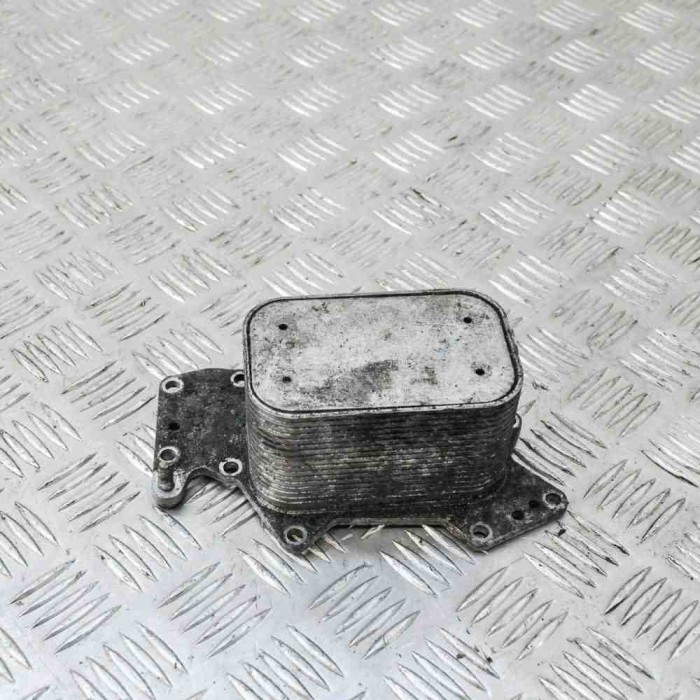 Răcitor de ulei AUDI A4 Avant 8K5, B8 2009 OEM: 059117021K