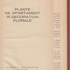 EUGEN SADOFSKY, AMELIA MILITIU - PLANTE DE APARTAMENT SI DECORATIUNI FLORALE