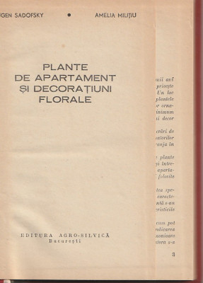 EUGEN SADOFSKY, AMELIA MILITIU - PLANTE DE APARTAMENT SI DECORATIUNI FLORALE foto