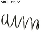 SKF VKDL 31172 Arc spiral