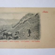 Rara! Chile-Trecatoarea/Pasul Uspallata din muntii Anzi,carte post.cca.1900