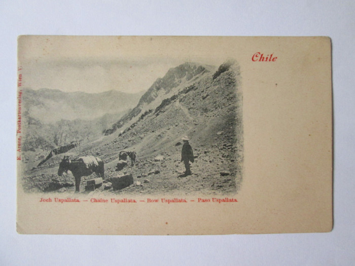 Rara! Chile-Trecatoarea/Pasul Uspallata din muntii Anzi,carte post.cca.1900