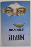 AMIN de IOAN MICU , ANII &#039;90