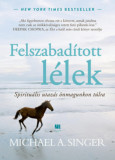 Felszabad&iacute;tott l&eacute;lek - Spiritu&aacute;lis utaz&aacute;s &ouml;nmagunkon t&uacute;lra - Michael A. Singer