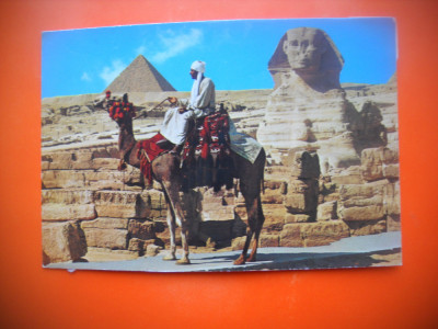 HOPCT 90044 BEDUIN PE CAMILA LA SFINX -GIZA -COSTUM.--EGIPT -NECIRCULATA foto