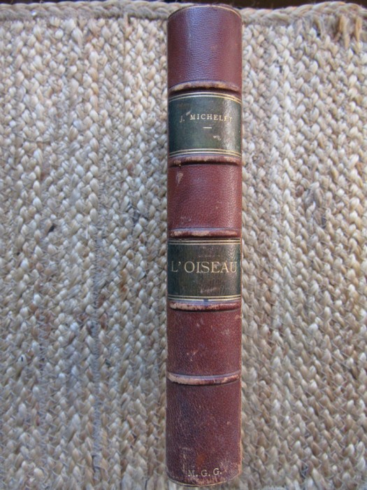 L&#039;oiseau - J. MICHELET