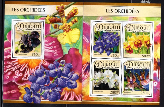 DJIBOUTI 2017, Flora, Orhidee, serie neuzata, MNH