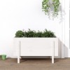 Gossi strat inaltat de gradina, alb, 101x50x57 cm, lemn masiv de pin