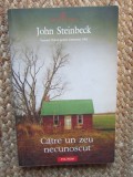 Catre un zeu necunoscut - John Steinbeck
