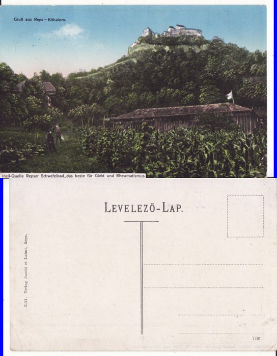 Rupea, Reps ( Brasov) - rara