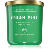 DW Home Essence Fresh Pine lum&acirc;nare parfumată 241 g