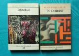 Alain Robbe Grillet &ndash; In labirint si Gumele ( traducere Dumitru Tepeneag )