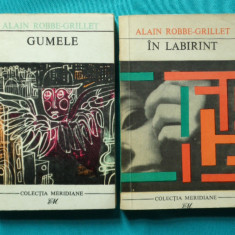 Alain Robbe Grillet – In labirint si Gumele ( traducere Dumitru Tepeneag )