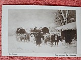 Carte postala, Car cu boi in zapada/Th. Aman