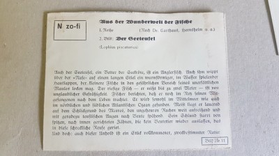 C860-I-9Diapozitive vechi Deutches Reich Germania color anii 1930 Vietati marine foto