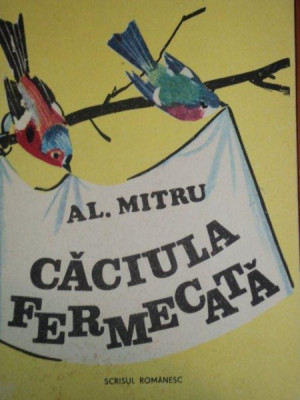 CACIULA FERMECATA de AL. MITRU foto