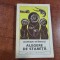Alegere de stareta de Damian Stanoiu