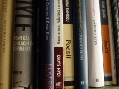 Der Geliebte der Mutter- Widmer