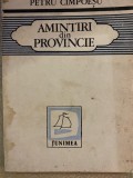 Amintiri din provincie - Petru Cimpoeșu, 1983, Roman romanesc, Editura Junimea Iasi