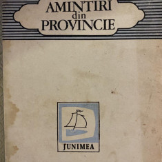 Petru Cimpoeșu - Amintiri din provincie debut, 1983