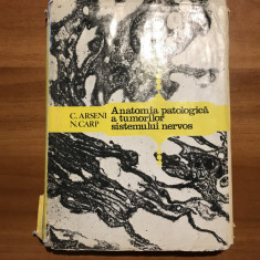 Anatomia patologica a tumorilor sistemului nervos/ C.Arseni&N. Carp/1978